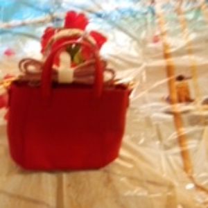 Handbag ladies Estee Lauder